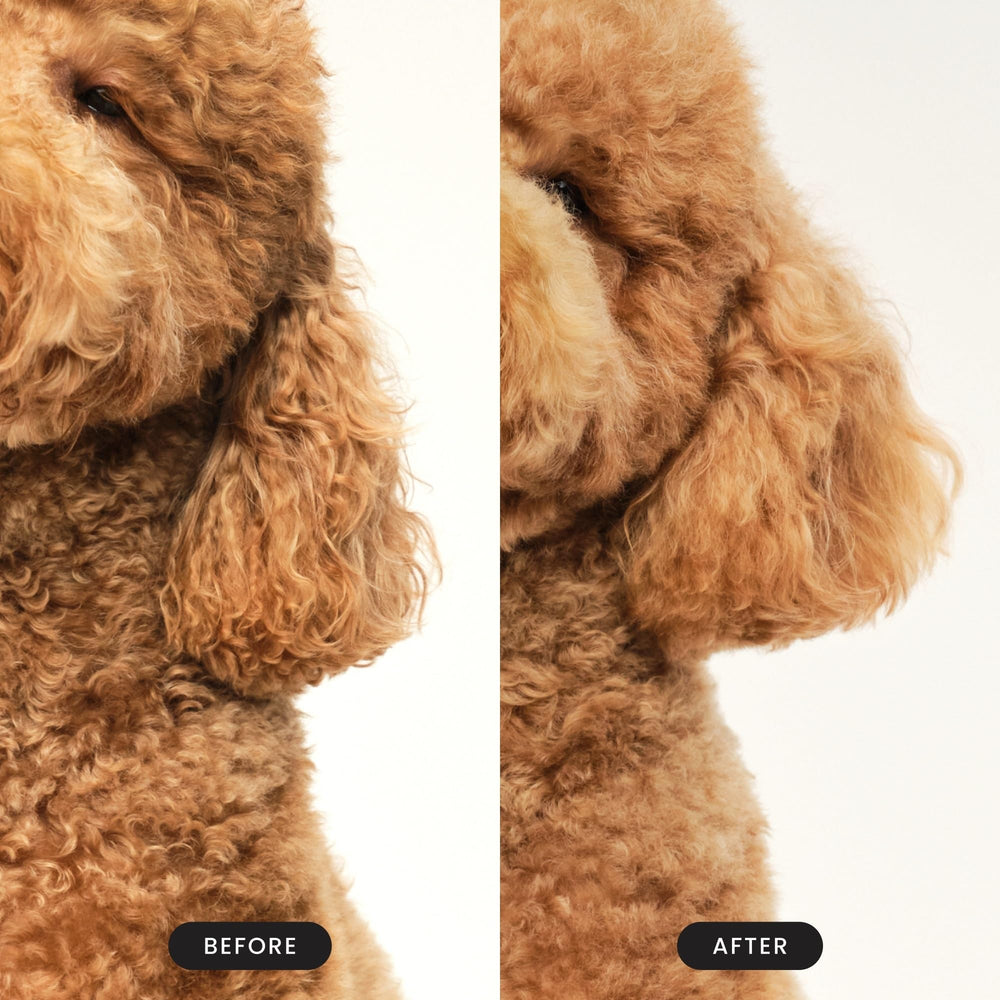 Pet Teezer detangling brush palm-ergonomic handle for comfortable extended grooming.