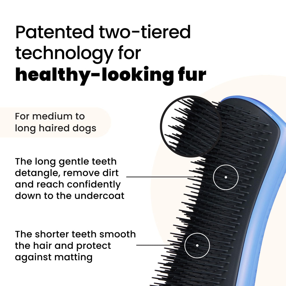 Pet Teezer long-haired dog brush in use; smooths fur without pulling