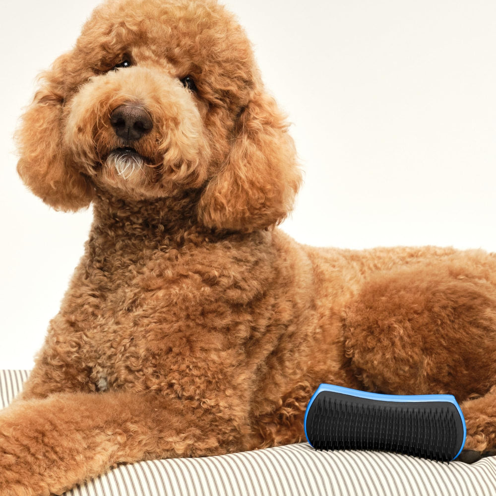 Pet Teezer sustainable packaging transition note for eco-friendly buyers