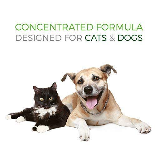 Pet Vitamin Co Krill Oil Soft Chews show dosing guidance for pet parents.