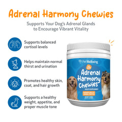 Pet Wellbeing Adrenal Harmony Chewies dog-serving image shows palatable chews for daily balance.