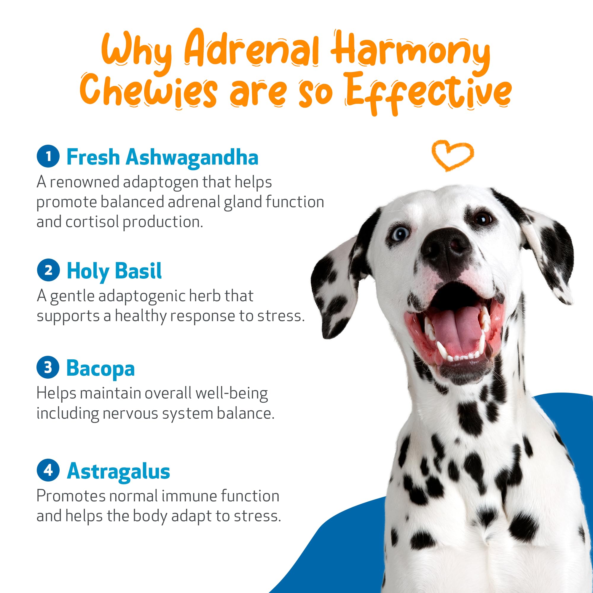Pet Wellbeing Adrenal Harmony Chewies serving spoon image demonstrates easy administration in daily routines.