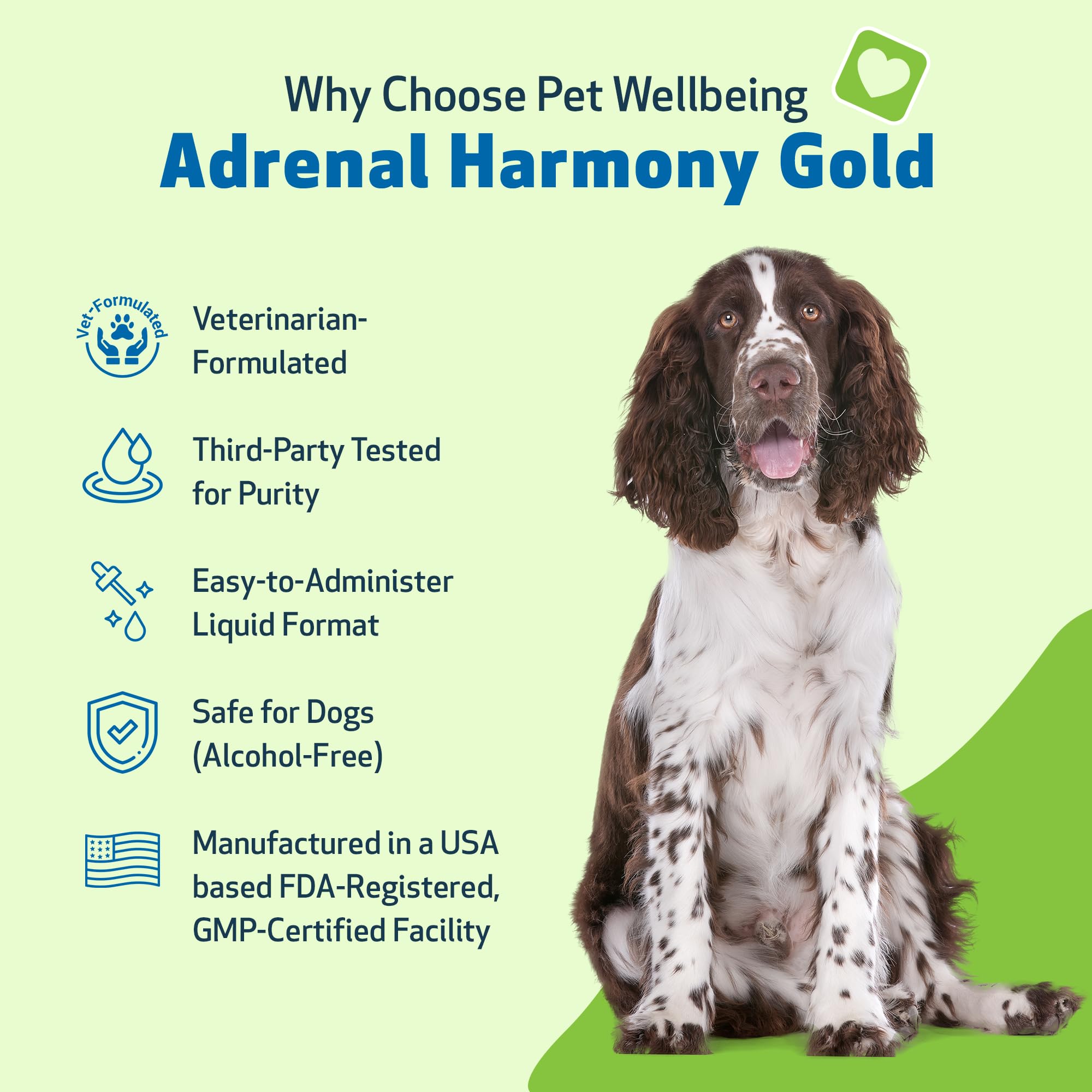Dog resting calmly with Adrenal Harmony Gold during a stressful moment.