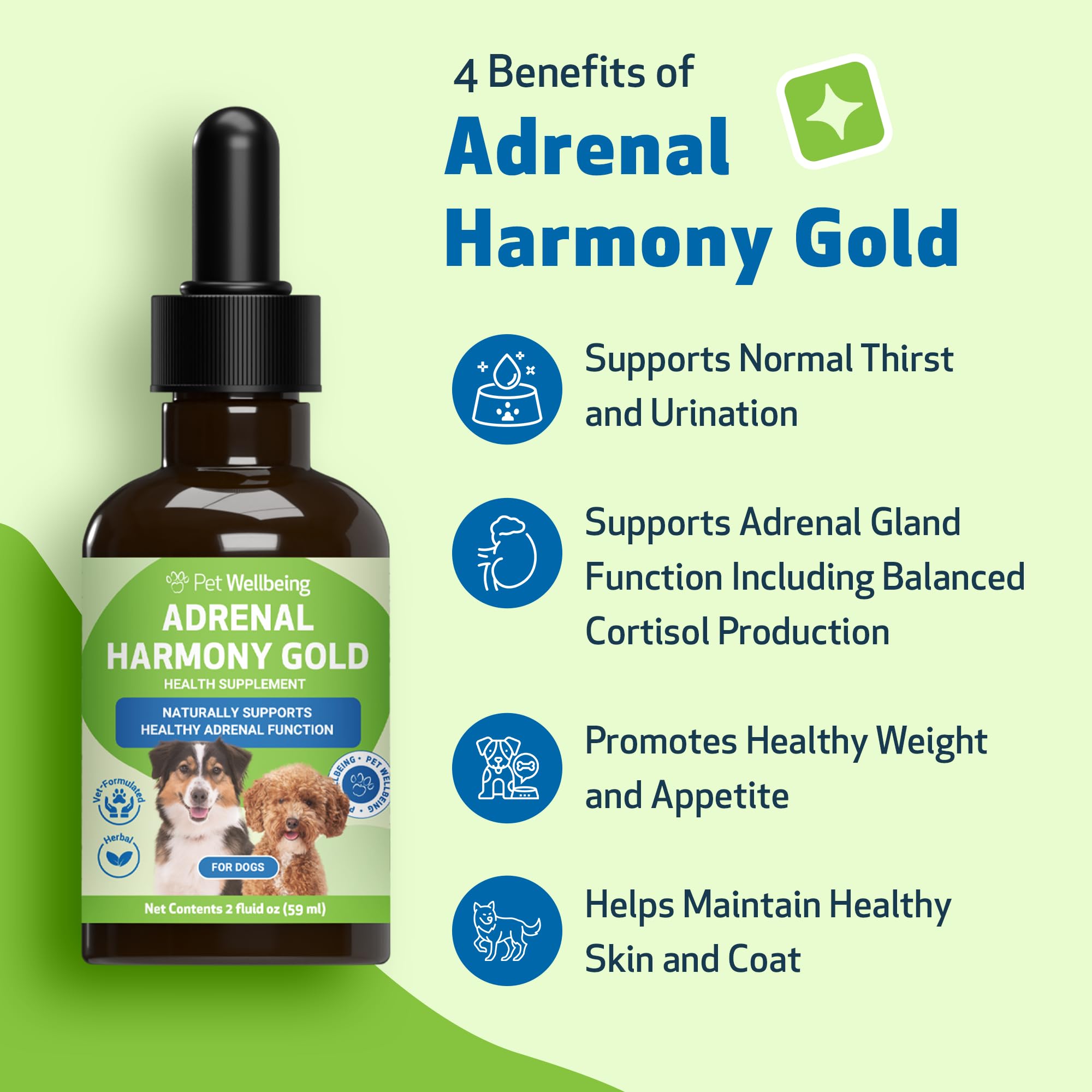 Liquid dropper ready for easy-to-administer adrenal support for dogs.