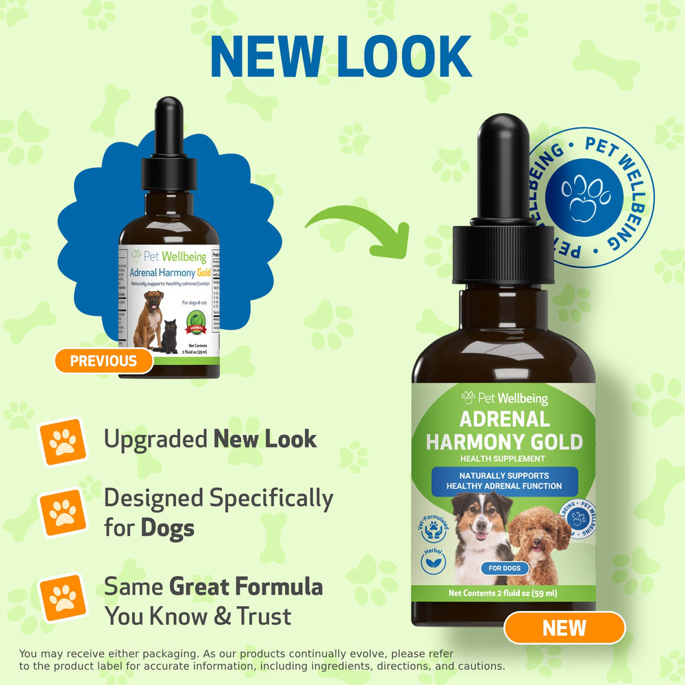 Close-up of Adrenal Harmony Gold label showing Ashwagandha and Bacopa.
