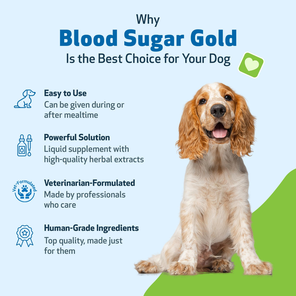Fenugreek herb component in Pet Wellbeing Blood Sugar Gold for metabolic balance