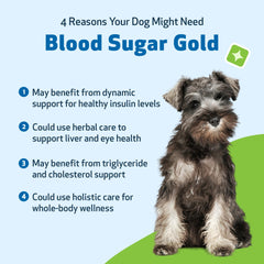 Pet Wellbeing Blood Sugar Gold Dogs liquid formula ready to mix with meals
