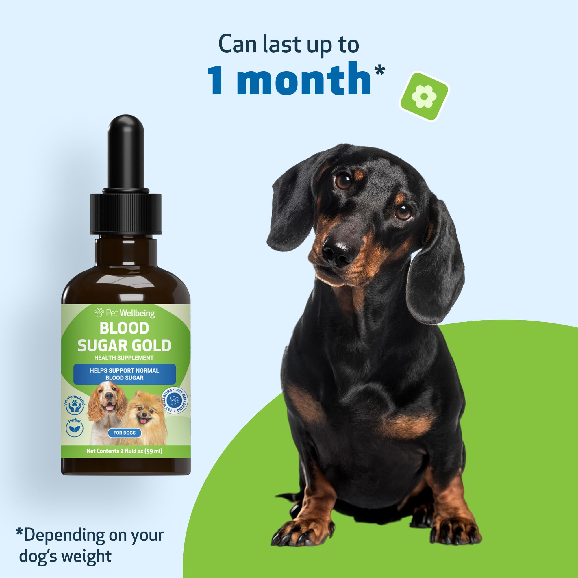 Pet Wellbeing Blood Sugar Gold Dogs pancreatic and liver support benefits