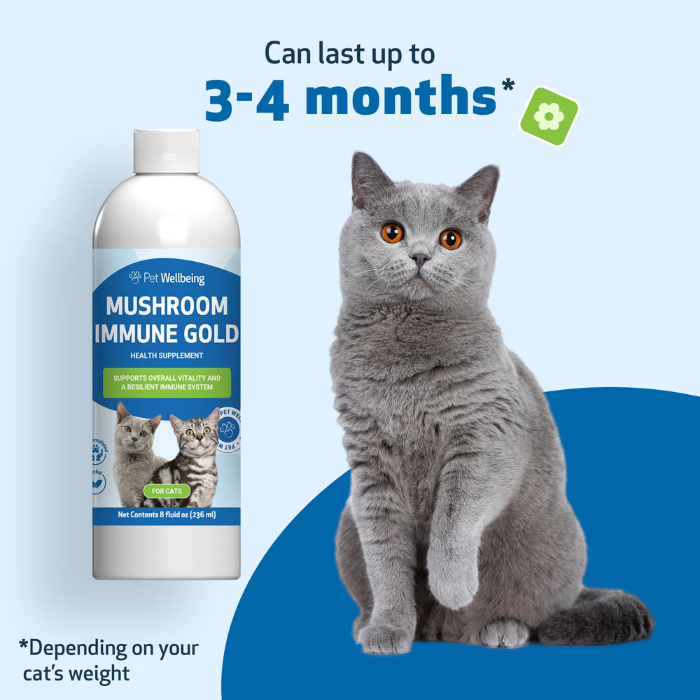 Pet Wellbeing Cat wellness daily-use application emphasizes gentle support.