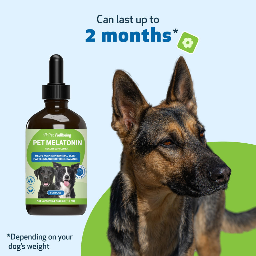 Pet Wellbeing circadian-balance-dogs image illustrates support for healthy rest across life stages.