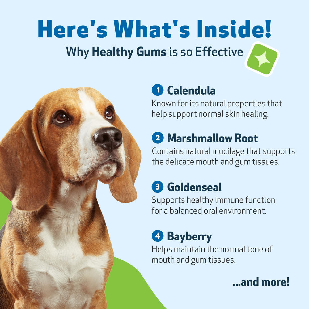 Pet Wellbeing 4 oz bottle lasts months for consistent care.