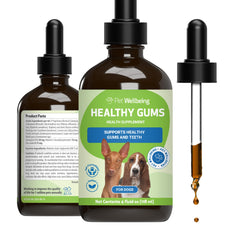 Pet Wellbeing healthy gums drops topical application on dog gums for precise dosing.