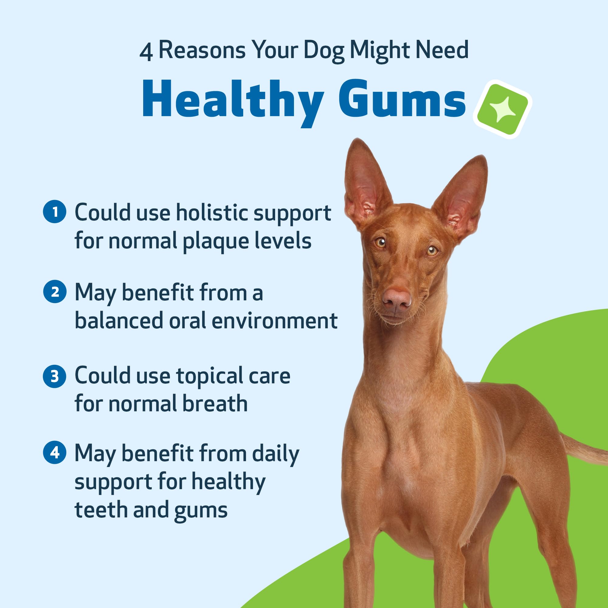 Pet Wellbeing herbal vet-formulated blend for gentle oral support.