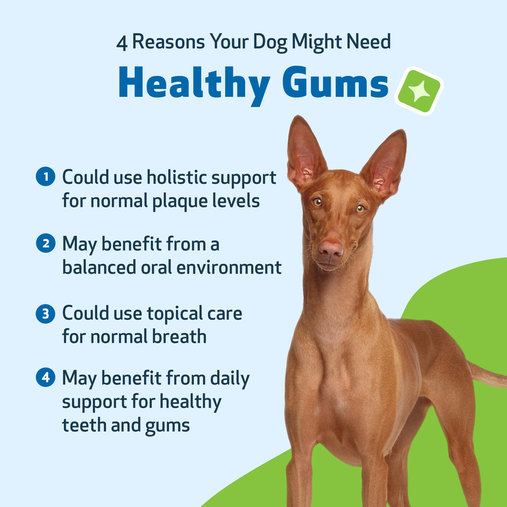 Pet Wellbeing herbal vet-formulated blend for gentle oral support.