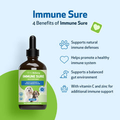 Pet Wellbeing Immune Sure andrographis close-up highlights herbal immune support.