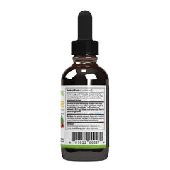 Pet Wellbeing Immune Sure illustration emphasizes gut flora balance support for dogs.