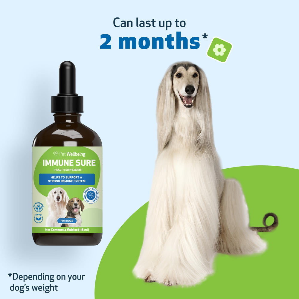 Pet Wellbeing Immune Sure dog using supplement suggests routine wellness support.