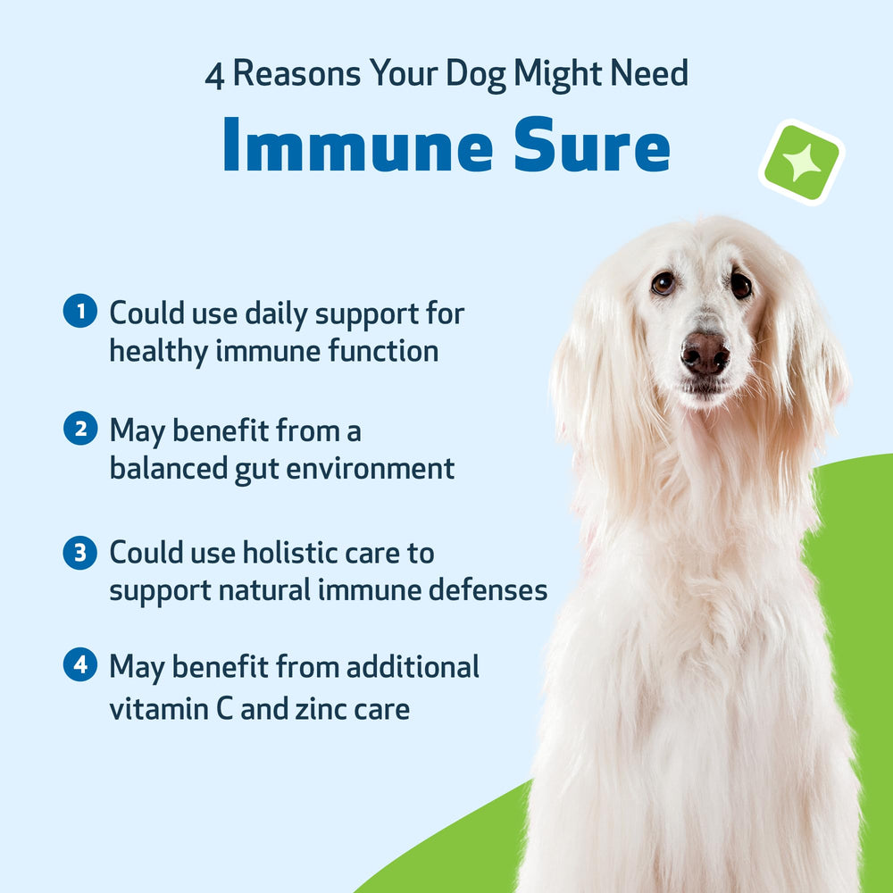 Pet Wellbeing Immune Sure dropper dispensing for easy dosing.