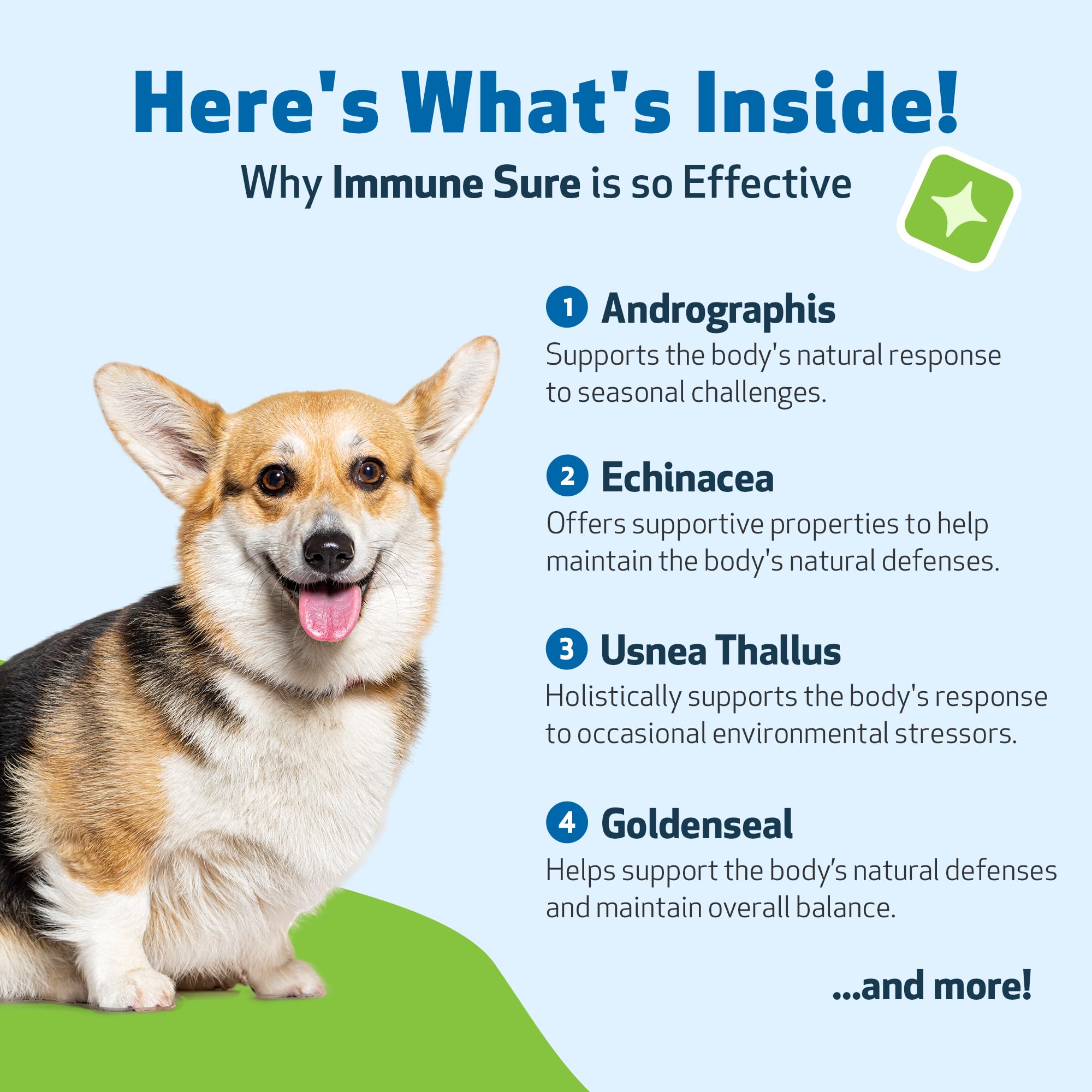Pet Wellbeing Immune Sure made in USA seal denotes quality manufacturing.