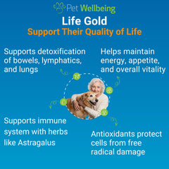 Pet Wellbeing Life Gold dog bottle label highlights premium ingredients for antioxidant protection and overall vitality.