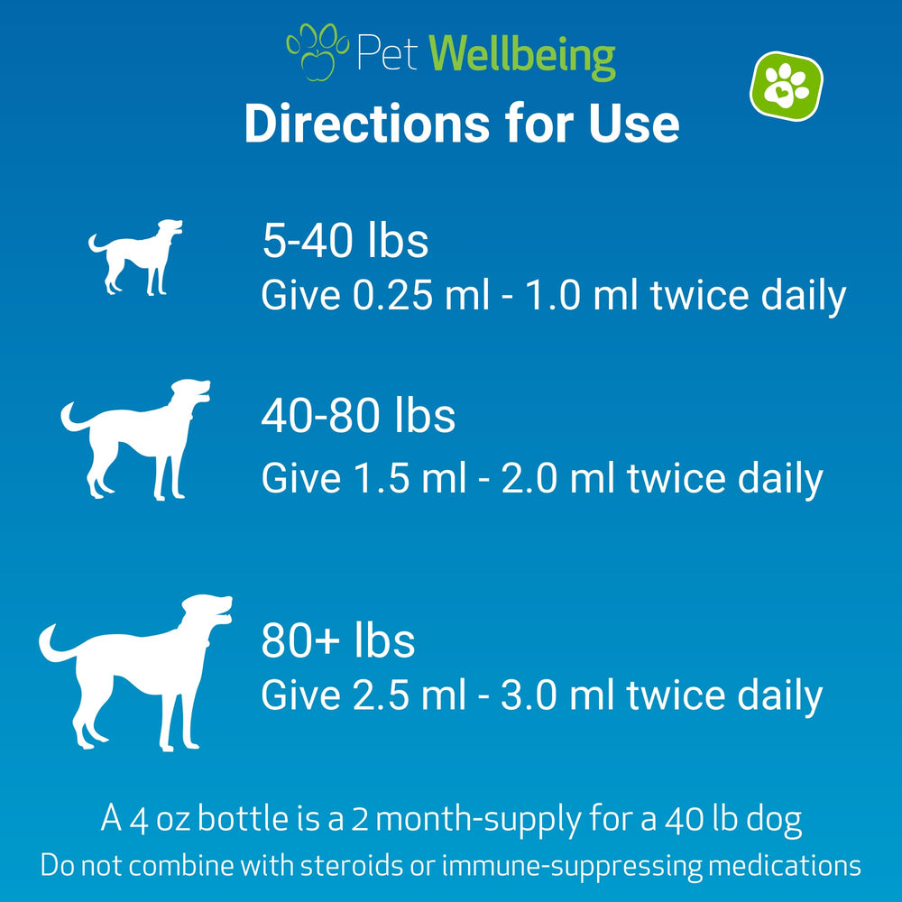 Pet Wellbeing Life Gold dog-meal drops illustrate simple addition to meals for routine care.