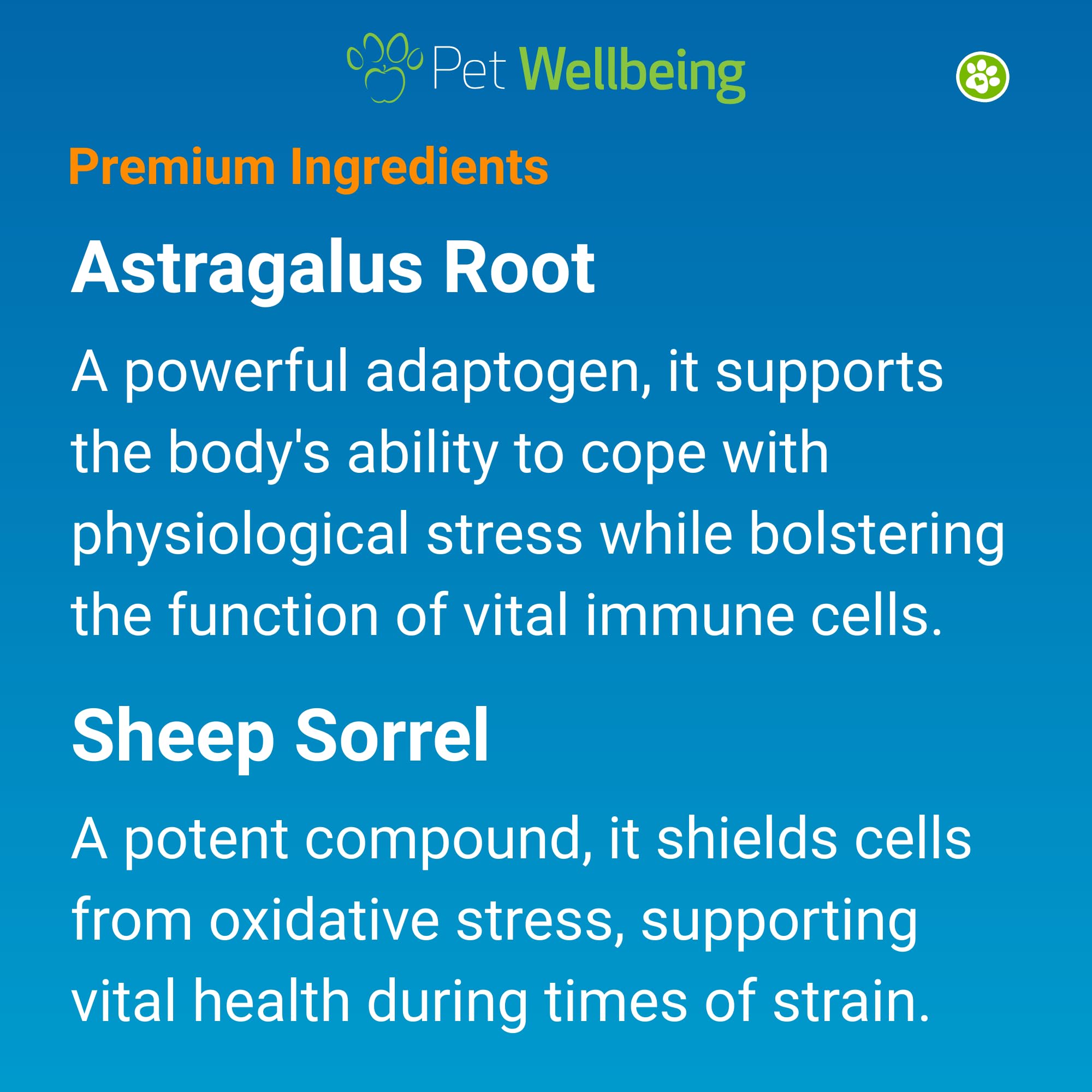 Pet Wellbeing Life Gold immune-support action demonstrates potential everyday resilience for dogs.