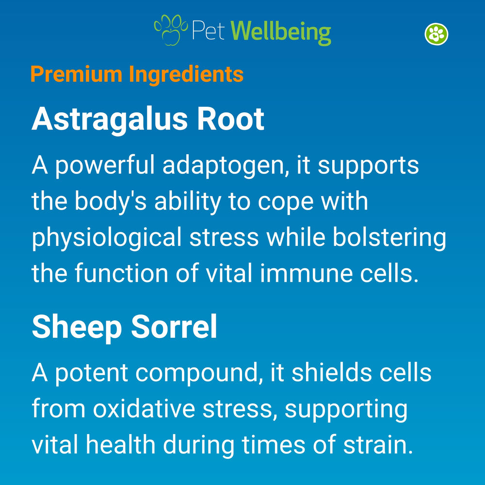 Pet Wellbeing Life Gold immune-support action demonstrates potential everyday resilience for dogs.