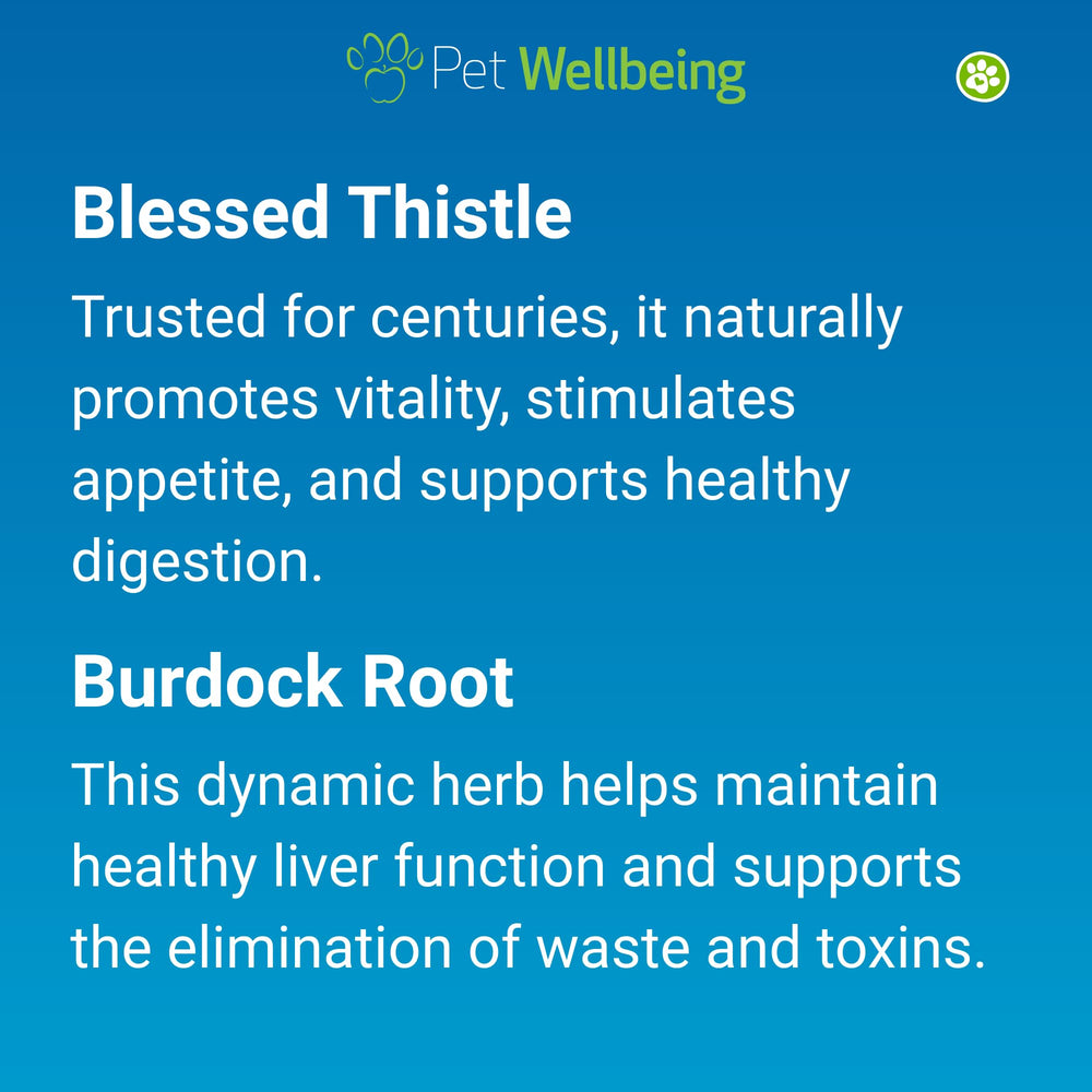 Pet Wellbeing Life Gold oxidative-protection image suggests antioxidant benefits amid environmental stress.