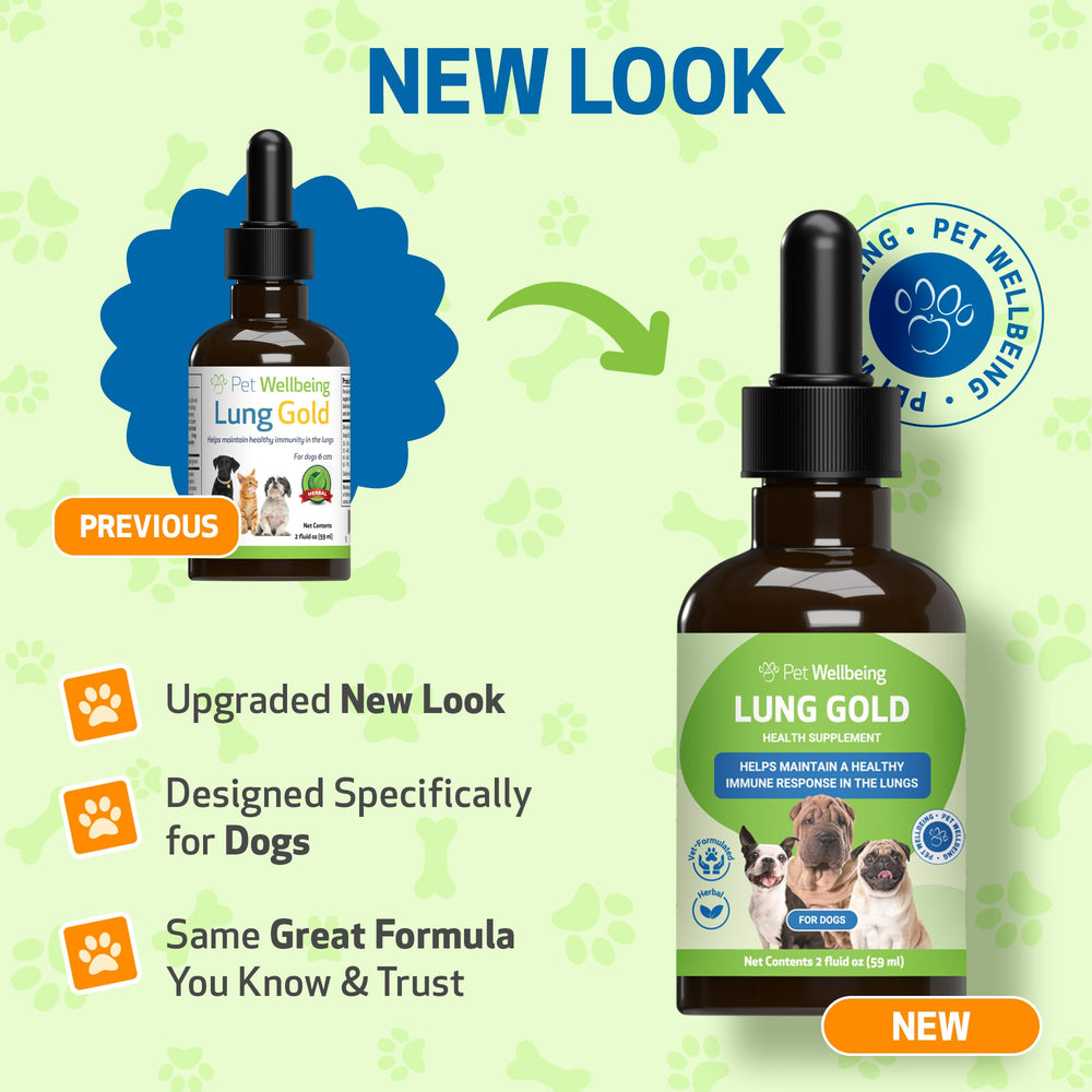 Pet Wellbeing Lung Gold dosing scene highlights easy administration for dogs.