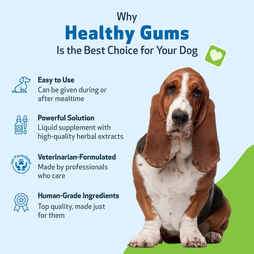 Pet Wellbeing made in USA in GMP-certified facility ensures quality.