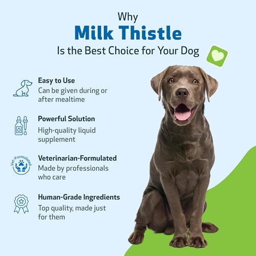 Pet Wellbeing Milk Thistle drops with dropper for precise, alcohol-free administration.