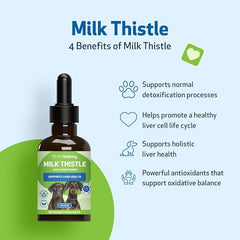 Pet Wellbeing Milk Thistle liquid pour shown, bacon flavor easing daily dosing.
