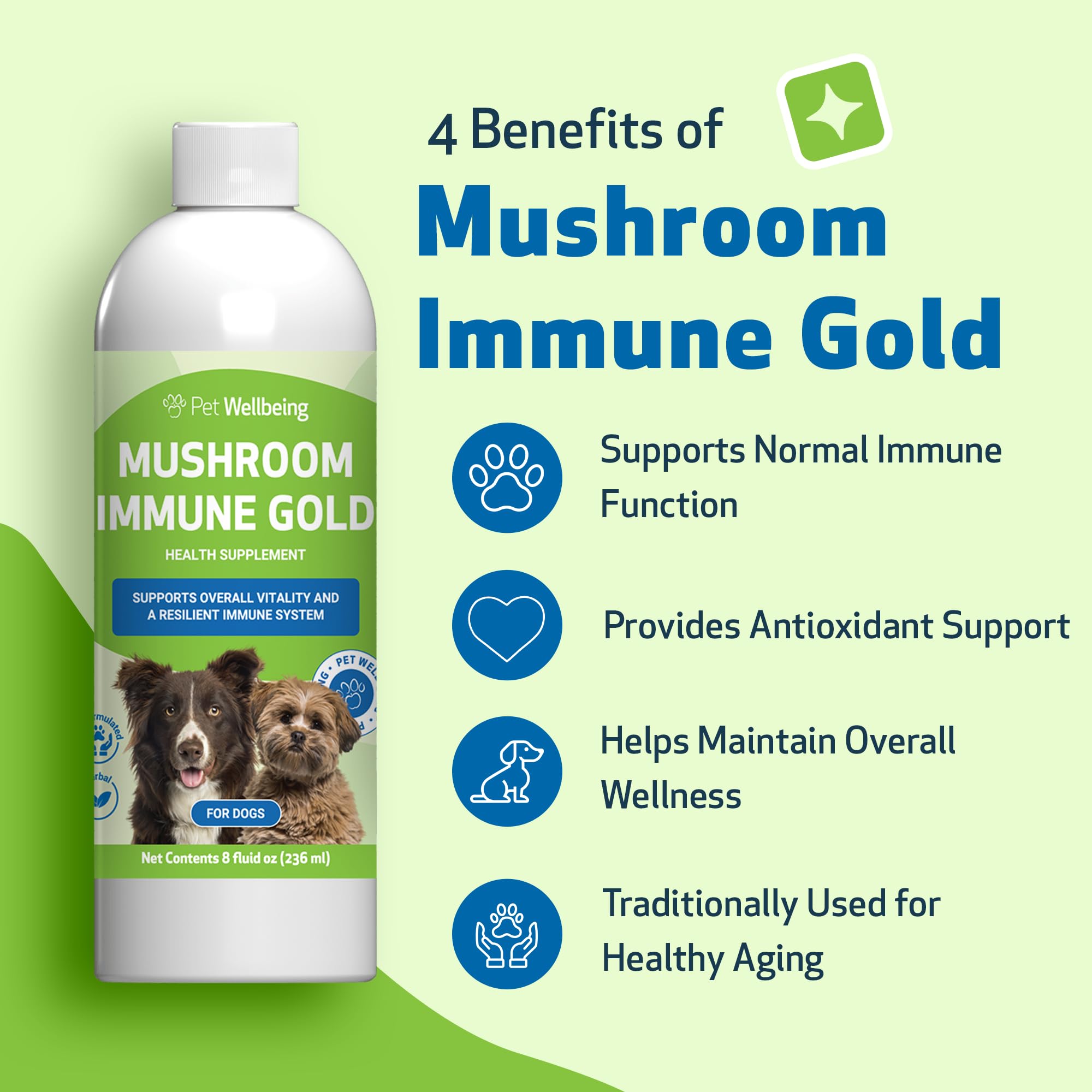 Pet Wellbeing Mushroom Immune Gold dog being fed with bacon-flavored liquid