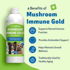 Pet Wellbeing Mushroom Immune Gold dog being fed with bacon-flavored liquid
