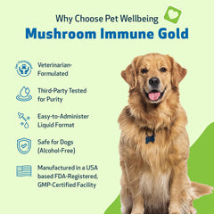 Pet Wellbeing Mushroom Immune Gold liquid dropper enabling easy dosing