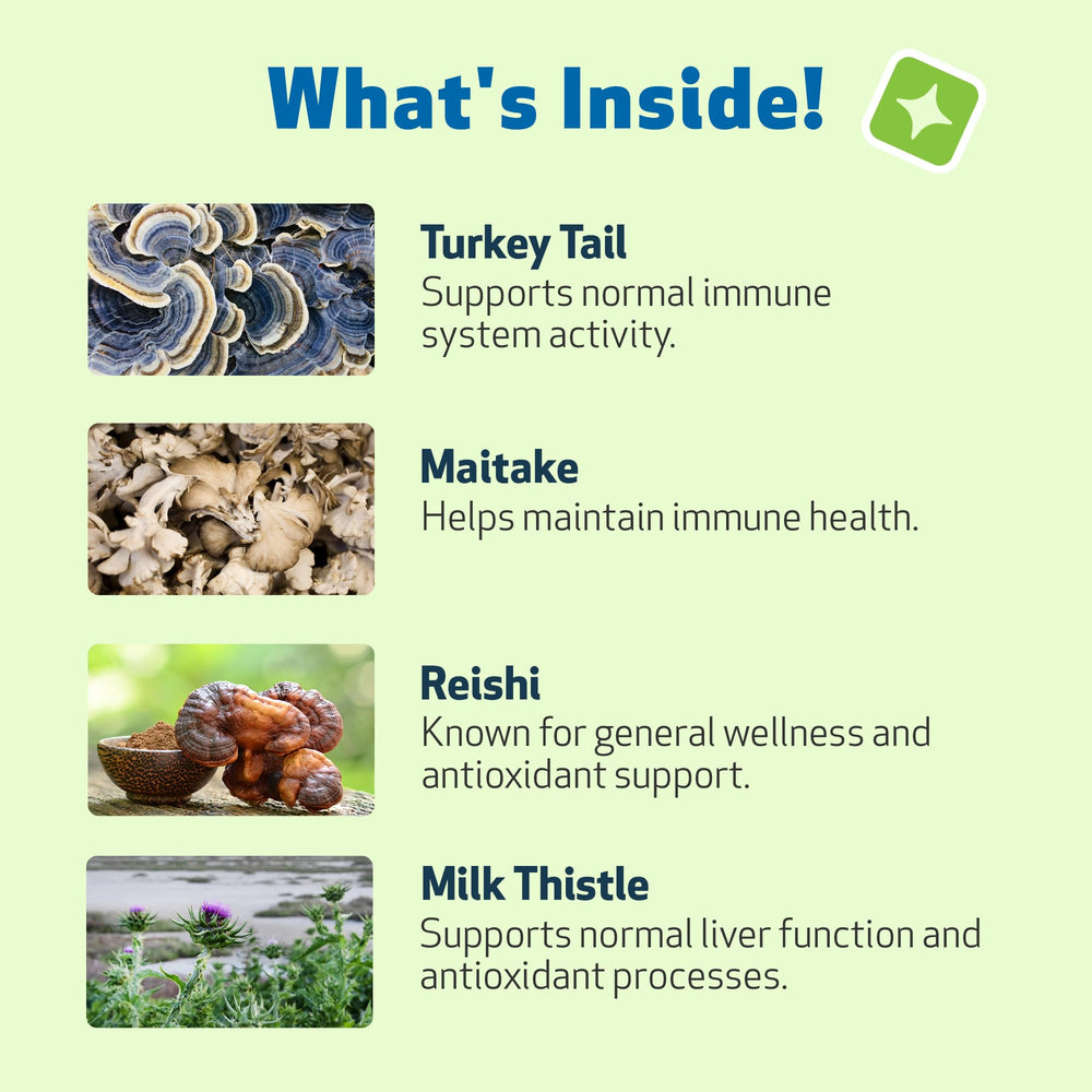 Pet Wellbeing Mushroom Immune Gold maitake close-up for cellular defense