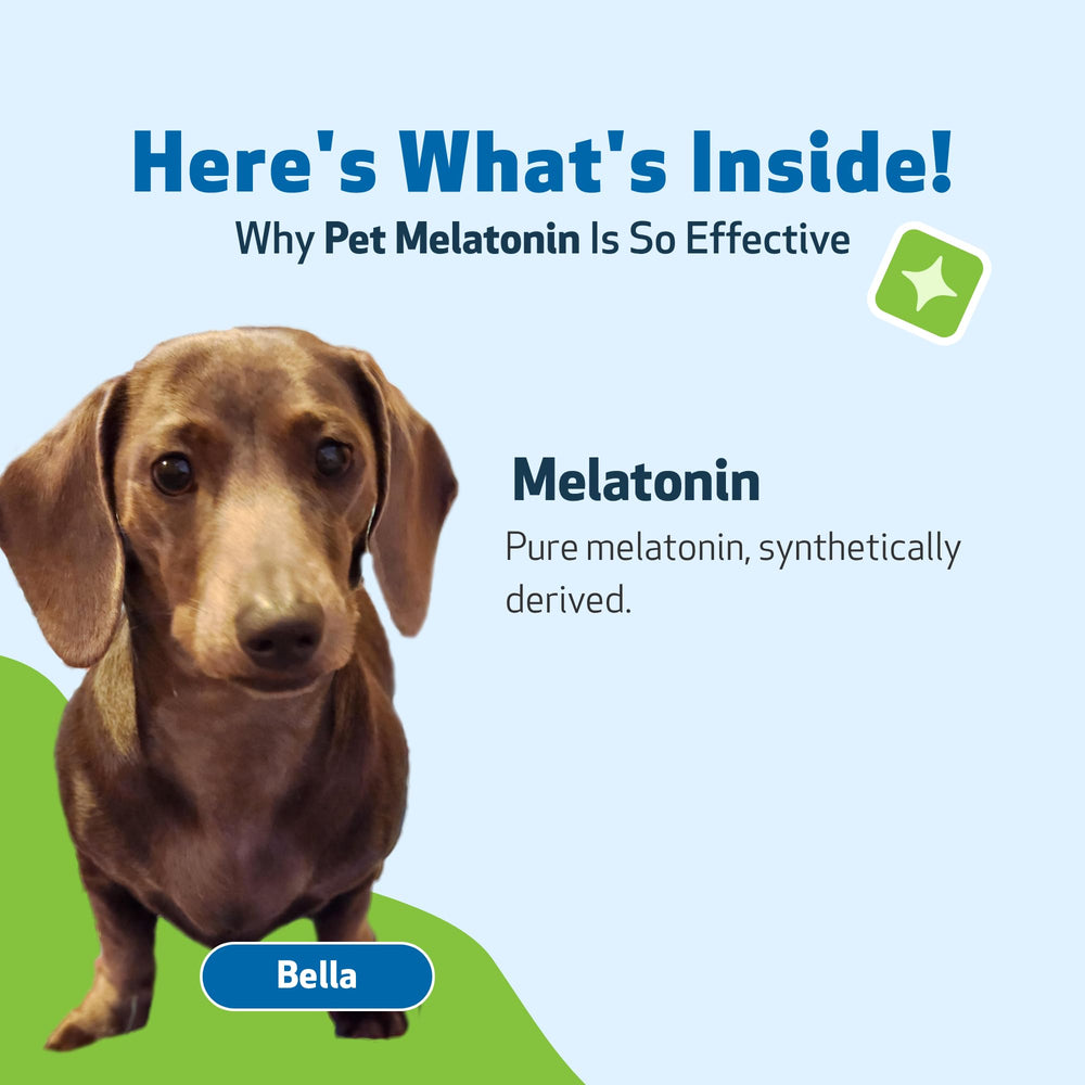 Pet Wellbeing natural-flavor-bedtime image showcases dog-friendly taste for easier dosing.