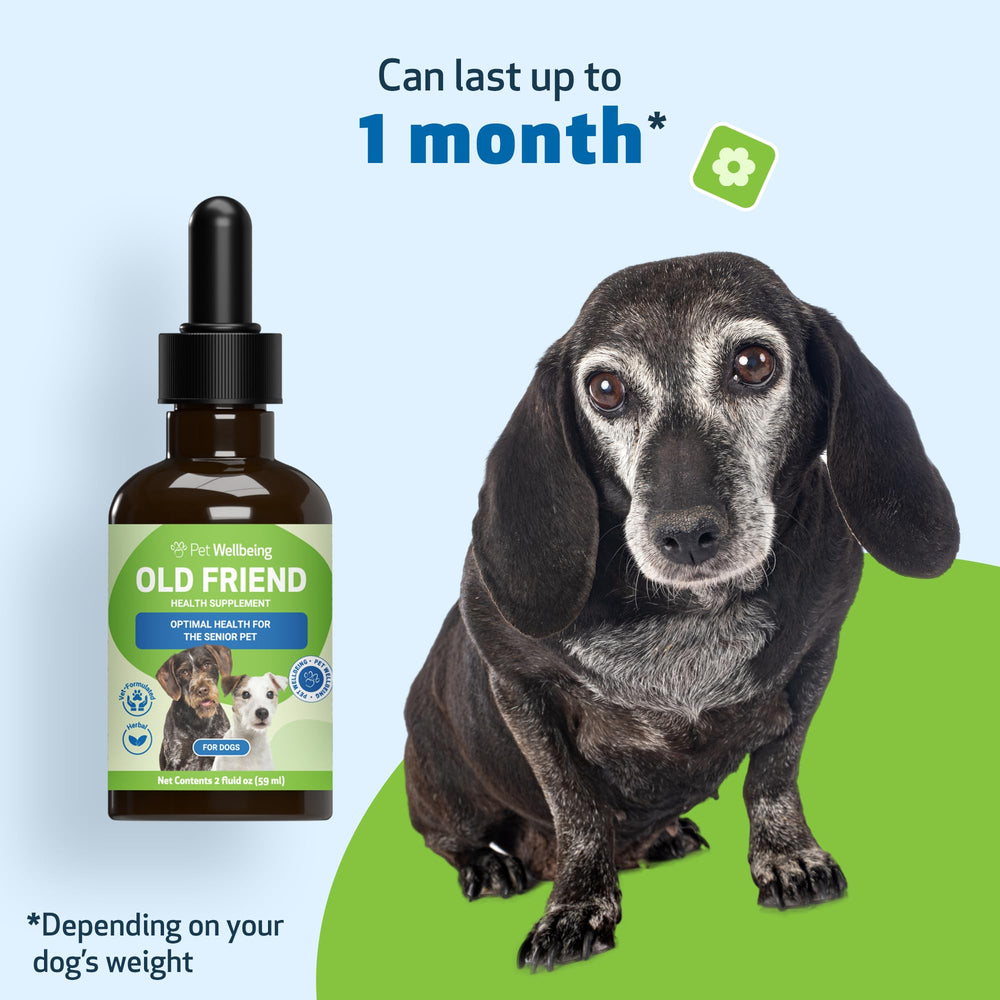 Pet Wellbeing Old Friend cognitive function focus; calm, clear moments for senior dogs.