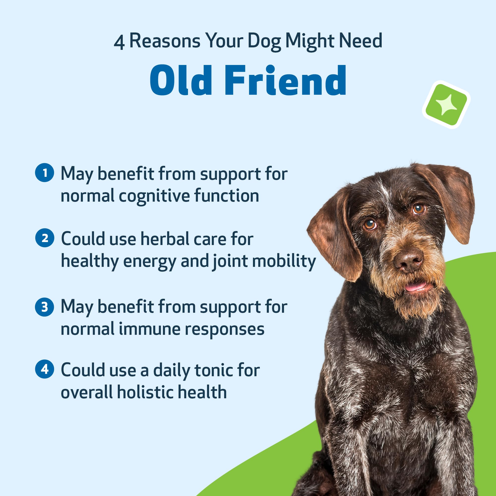 Pet Wellbeing Old Friend dog smiling after dosage promotes mobility.