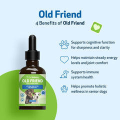 Pet Wellbeing Old Friend elder dog on a walk supports healthy energy levels.
