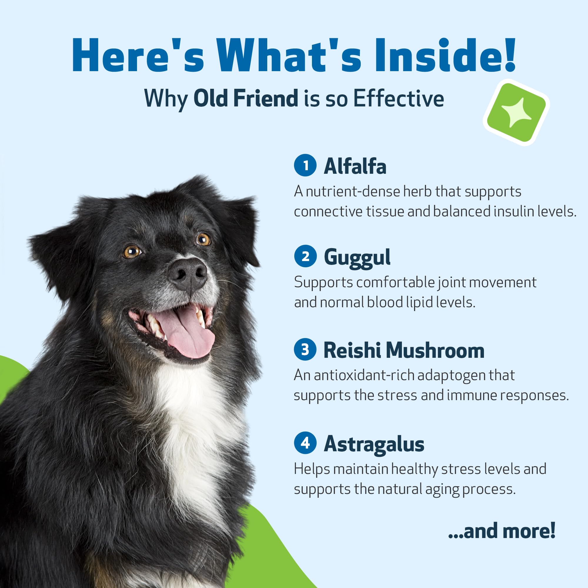 Pet Wellbeing Old Friend USA-made in FDA-registered, GMP-certified facilities for trusted quality and safety.