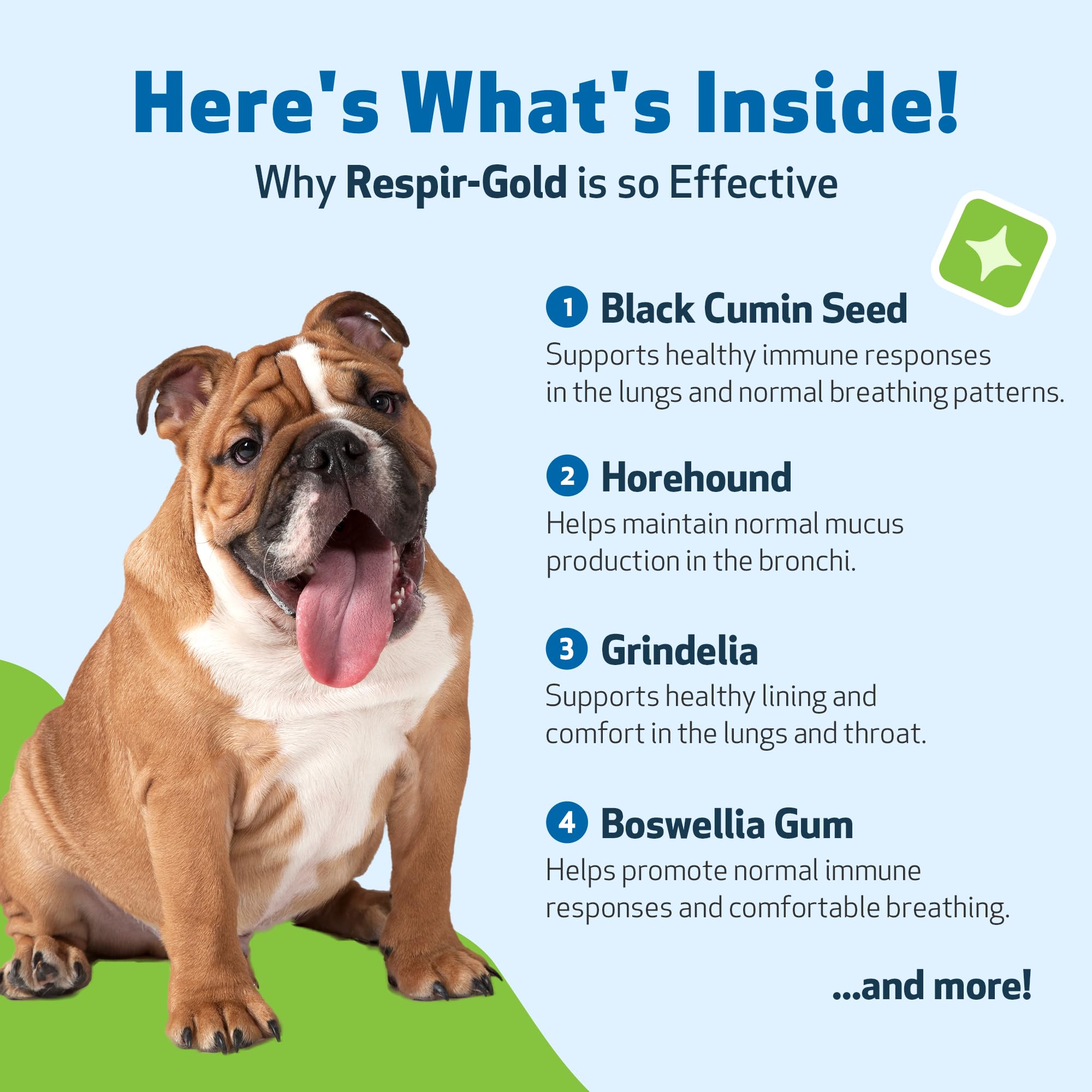 Pet Wellbeing Respir-Gold USA facility image signals US manufacturing standards.