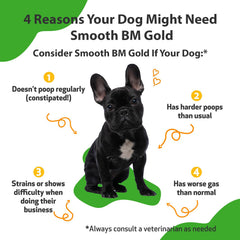 Pet Wellbeing Smooth BM Gold liquid formula shown with meals for stress-free administration.
