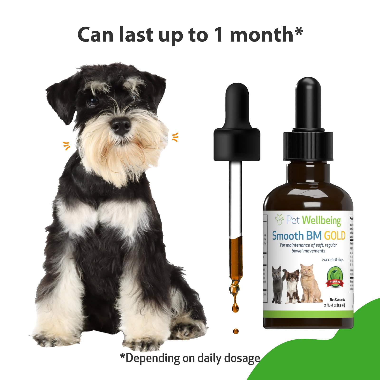 Pet Wellbeing Smooth BM Gold herbal blend imagery emphasizes gentle, dog-friendly digestion support.
