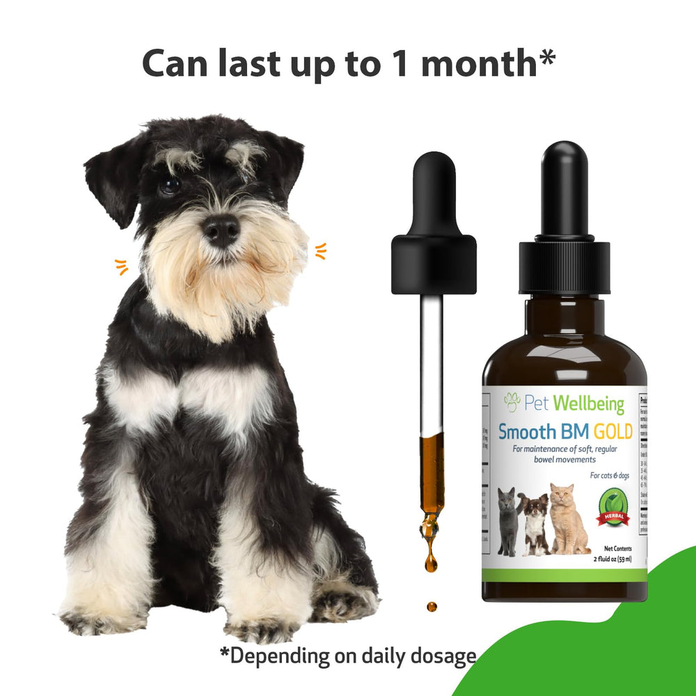 Pet Wellbeing Smooth BM Gold herbal blend imagery emphasizes gentle, dog-friendly digestion support.