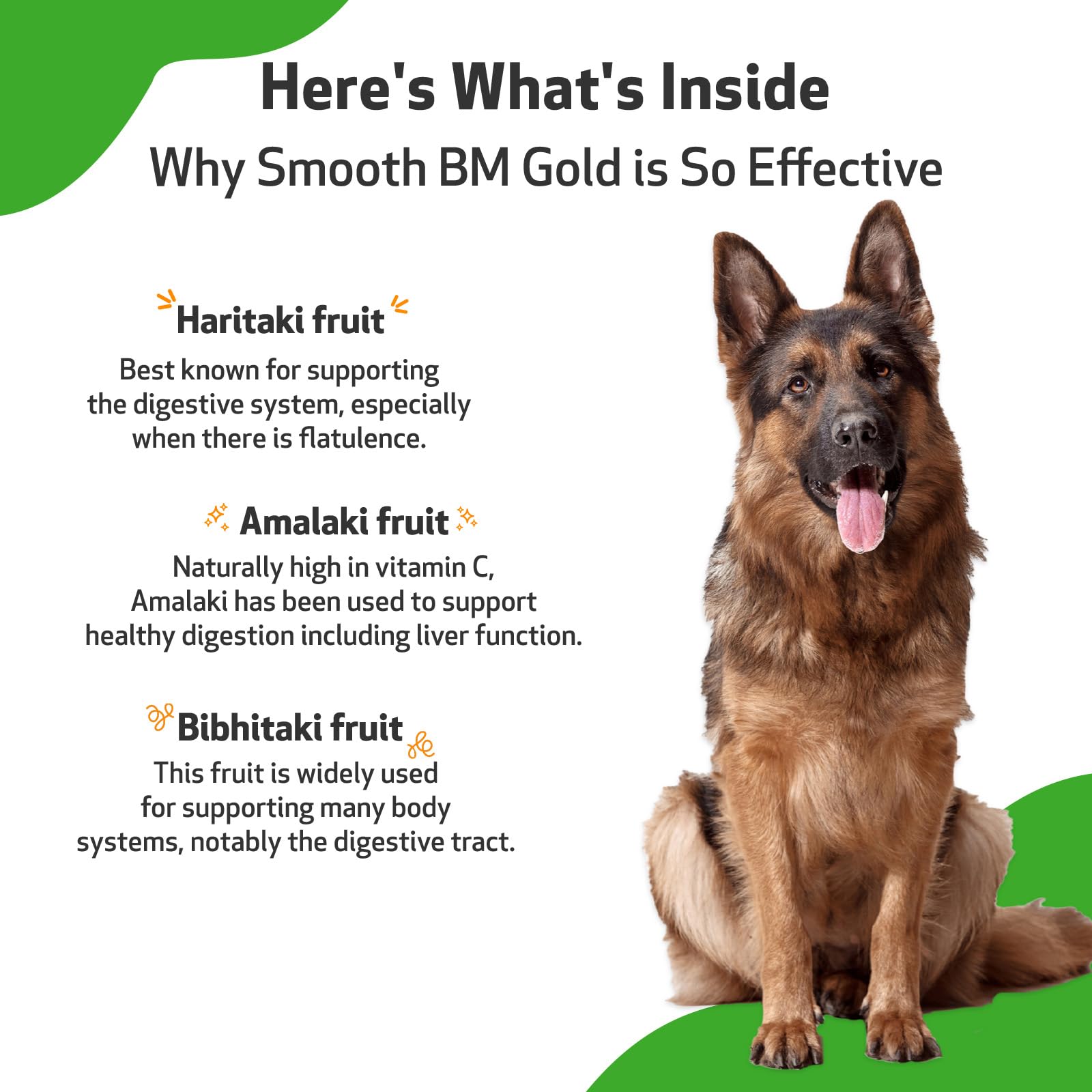 Pet Wellbeing Smooth BM Gold USA facility badge boosts trust and product safety.