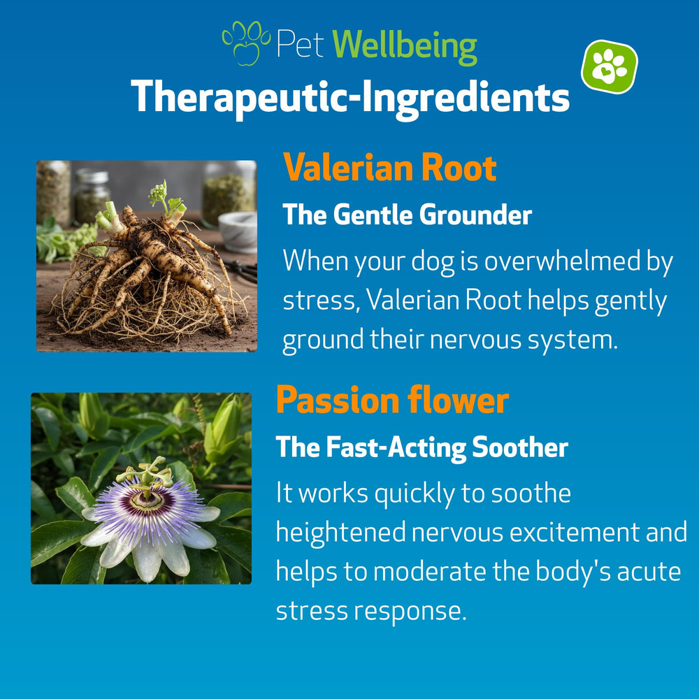 Pet Wellbeing Stress Gold herbal-blend ingredients highlighted for canine compatibility.