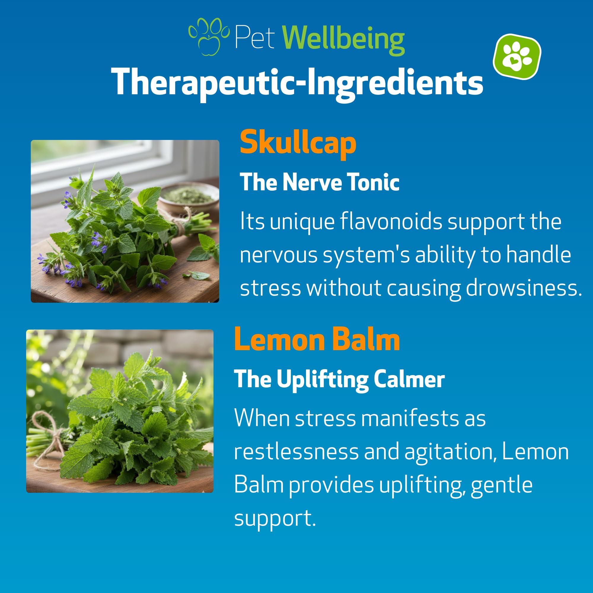 Pet Wellbeing Stress Gold liquid formula measured for administration.