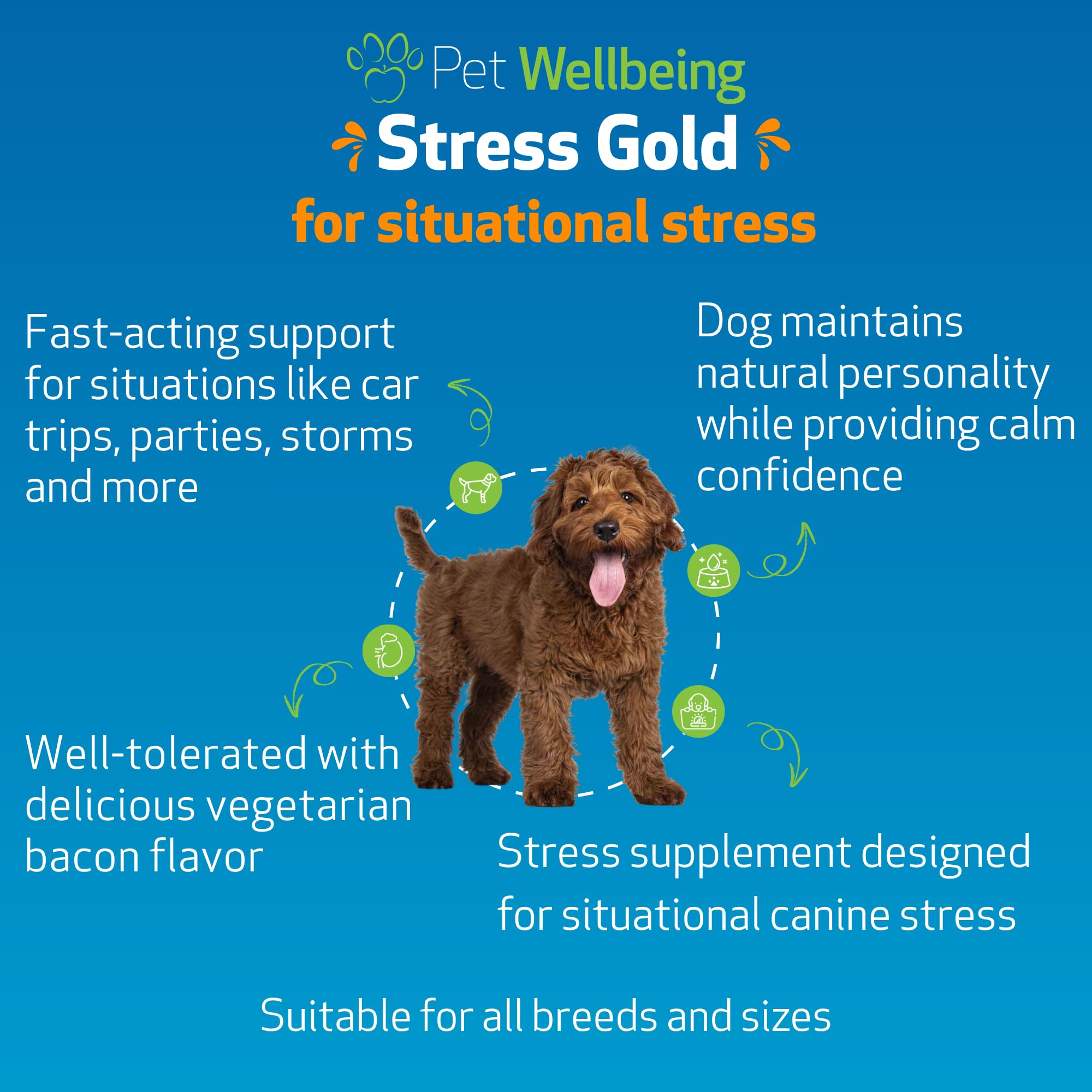 Pet Wellbeing Stress Gold with a traveling dog before car ride stress.