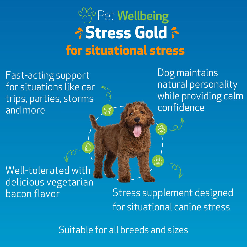 Pet Wellbeing Stress Gold with a traveling dog before car ride stress.